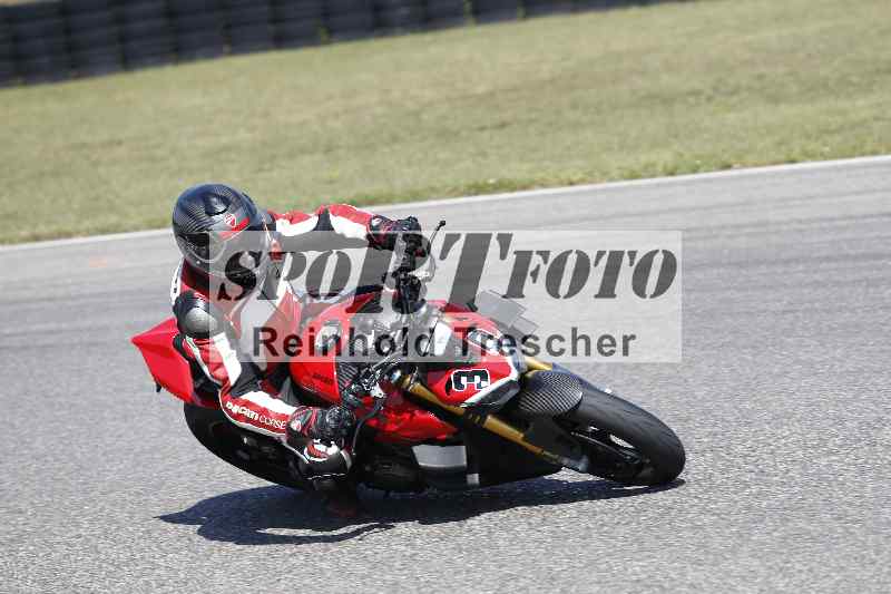 /46 11.08.2025 PADDYS-RACES-DAYS ADR/Starter-Hobby/30
